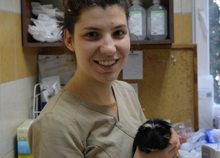 Dr. Varga Réka